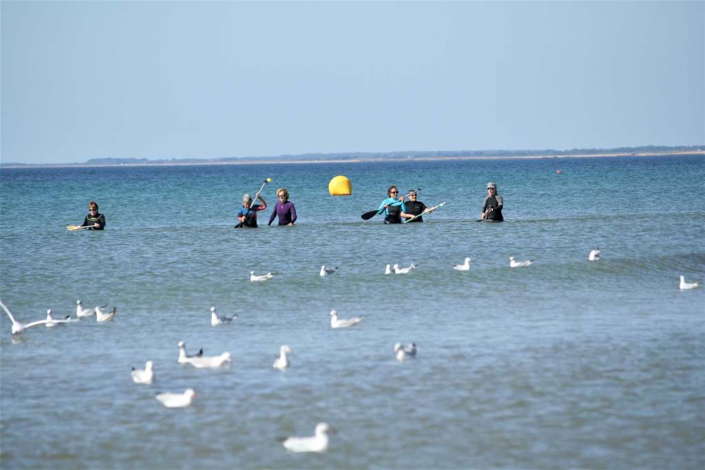 Nature School Quiberon - Longe côte