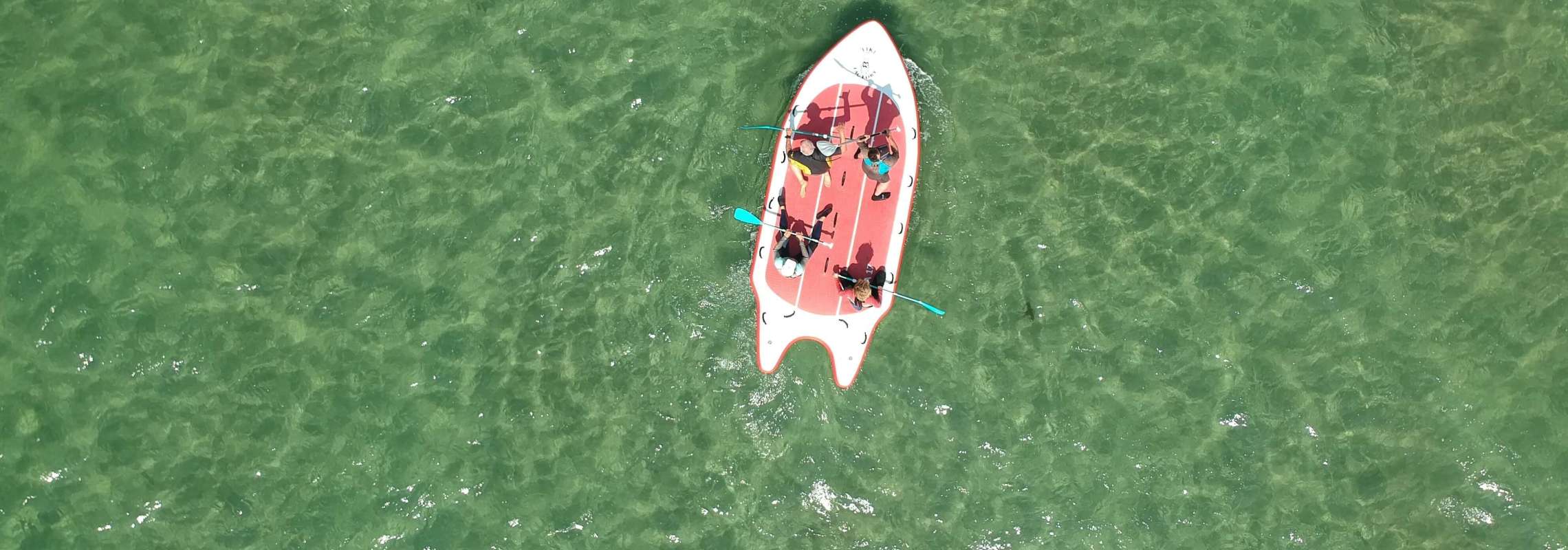 Paddle Géant Nature School Quiberon